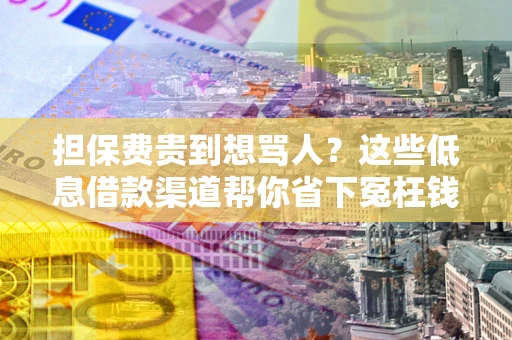 济南担保费贵到想骂人？这些低息借款渠道帮你省下冤枉钱